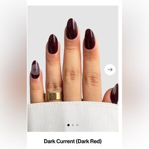 NEW SASSY SAINTS GEL NAIL WRAPS Nonsmoking pet free home dark current currant